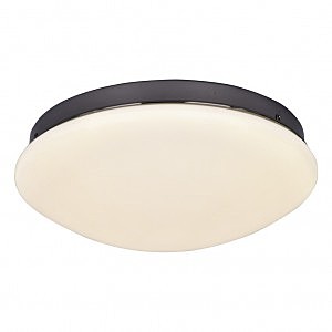 Светильник потолочный Ledante 2468-2C