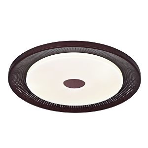 Светильник потолочный Dafna 2536-6C