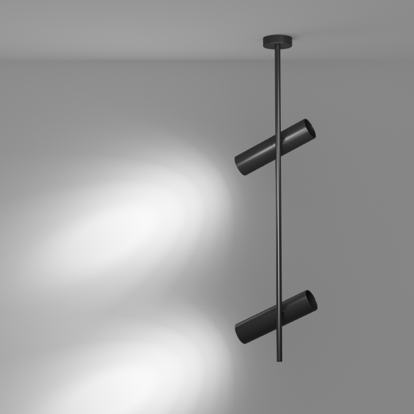 Светильник потолочный Elti C021CL-02B