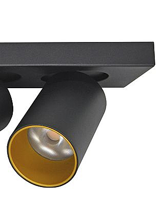 Светильник спот Кайл 8002/2W-BK-GD