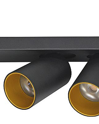 Светильник спот Кайл 8002/2W-BK-GD