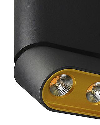 Накладной светильник Фергус 8005/3CL-BK-GD