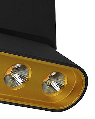 Накладной светильник Фергус 8005/3CL-BK-GD