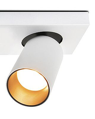 Светильник спот Кайл 8002/1W-WT-BK