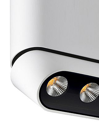 Накладной светильник Фергус 8005/3CL-WT-BK