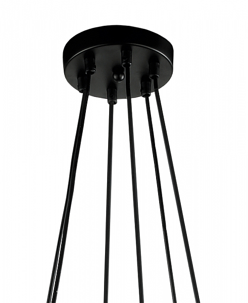 Подвесная люстра Тейл 4002/6P-BK-GR