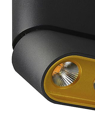 Накладной светильник Фергус 8005/3CM-BK-GD