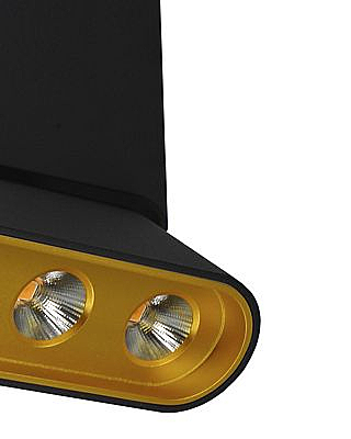 Накладной светильник Фергус 8005/3CM-BK-GD