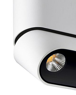 Накладной светильник Фергус 8005/3CM-WT-BK