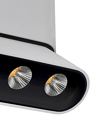 Накладной светильник Фергус 8005/3CM-WT-BK