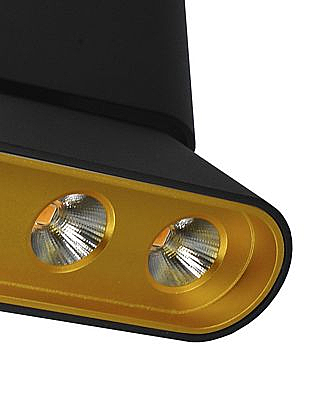 Накладной светильник Фергус 8005/3CS-BK-GD