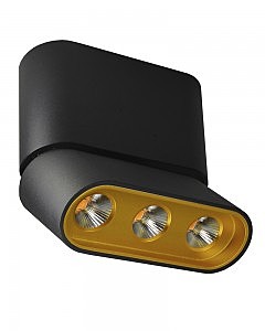 Накладной светильник Фергус 8005/3CS-BK-GD