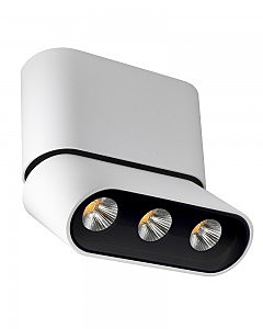 Накладной светильник Фергус 8005/3CS-WT-BK