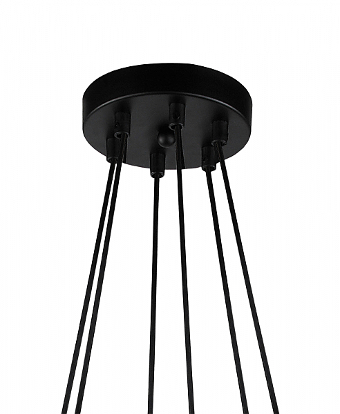 Подвесная люстра Астарта 4008/6P-BK-DGR