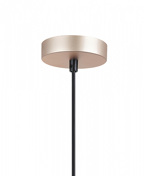 Светильник подвесной Лайам 4025/1PL-GD