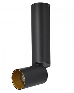 Накладной светильник Торин 8001/1CM-BK-GD