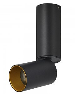 Накладной светильник Торин 8001/1CS-BK-GD
