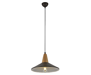 Светильник подвесной Фанет 08319,04