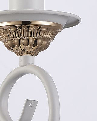 Настенное бра Дарен 2010/1W-FG-WT