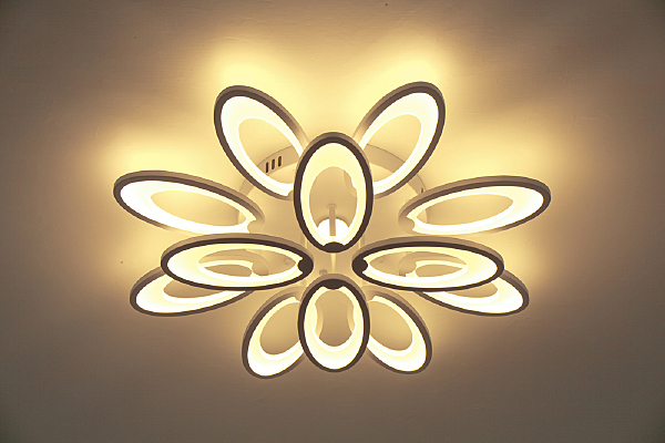Потолочная люстра Ecla 10238/12LED