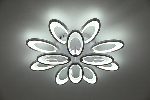 Потолочная люстра Ecla 10238/12LED