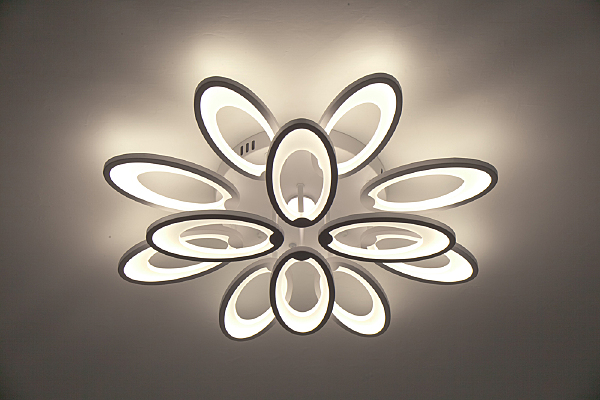 Потолочная люстра Ecla 10238/12LED