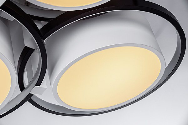 Потолочная люстра Vision 10243/6LED