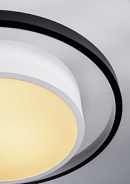 Потолочная люстра Vision 10243/6LED