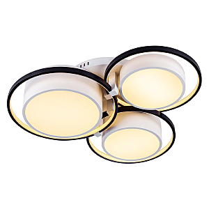 Потолочная люстра Vision 10243/6LED