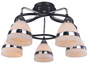 Потолочная люстра Basic 056/5PL