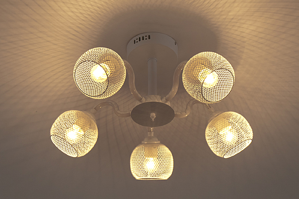 Потолочная люстра 10238 10238/5LED