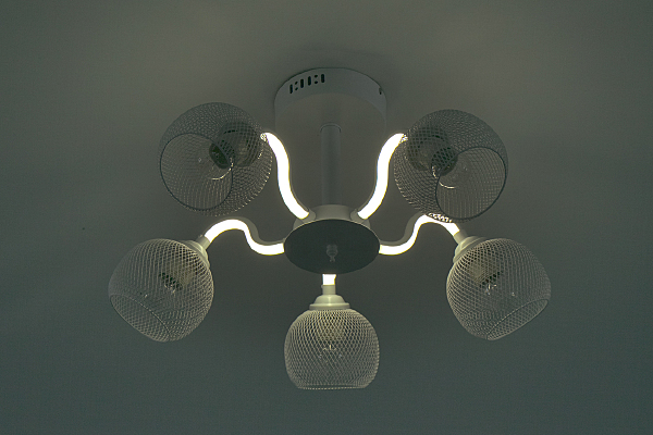 Потолочная люстра 10238 10238/5LED