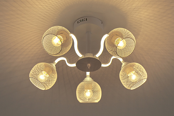 Потолочная люстра 10238 10238/5LED