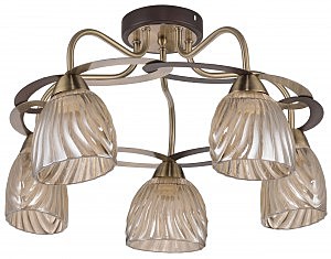 Потолочная люстра Classic 546/5PL