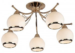 Потолочная люстра Basic 008/5PL