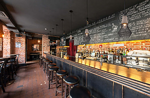 Светильник подвесной 423 423/1S