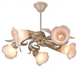 Потолочная люстра Floristic 482/5PL