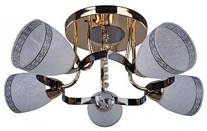 Потолочная люстра Basic 224/5PL