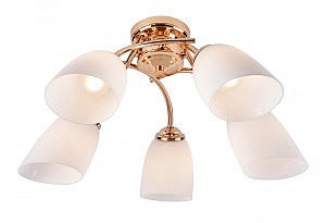 Потолочная люстра Basic 689/5PL