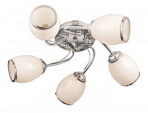 Потолочная люстра Basic 695/5PL