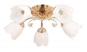 Потолочная люстра Basic 696/5PL