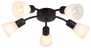 Потолочная люстра Basic 205/5PL