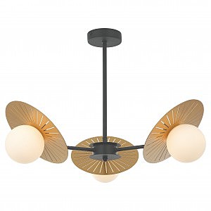 Потолочная люстра Sonnenblume 2356-3P