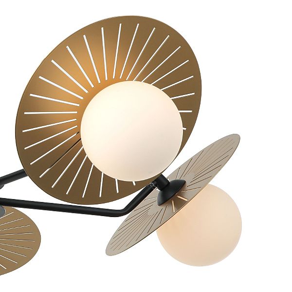Потолочная люстра Sonnenblume 2356-5P