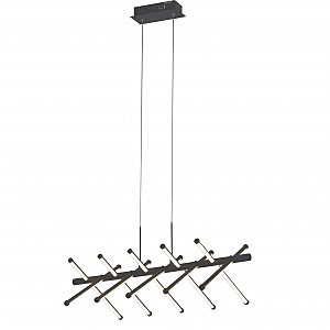 Подвесная люстра Carcass 2382-10P