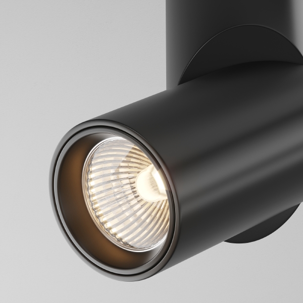 Накладной светильник Dafne C027CL-L10B