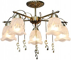 Потолочная люстра Delia TL1195X-05AB