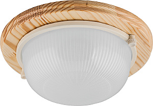 Уличный потолочный светильник НБО 03-60-011 11569