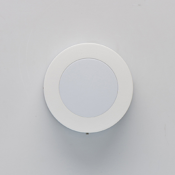 Уличный настенный светильник Меркурий 807022801