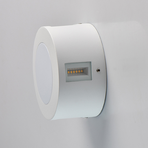 Уличный настенный светильник Меркурий 807022801